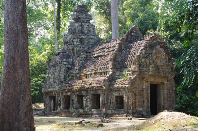 Angkor Wat tempel in de jungle, Cambodja